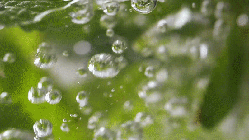 Meideme 雪見草護膚爽膚水/舒緩鎮靜/不粘膩/不刺激/ 自家農場原料製造/韓國