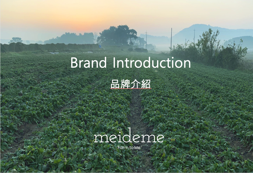 Meideme 核心精華潤唇膏 (鮮紅色)/天然精油/維生素E/深層保濕/自家農場原料製造/韓國